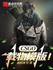 csgo载物模板!