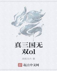 真三国无双ol怀旧服官网